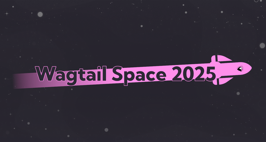 The words Wagtail Space in cosmic pink with a wagtail bird riding a rocketship over them.