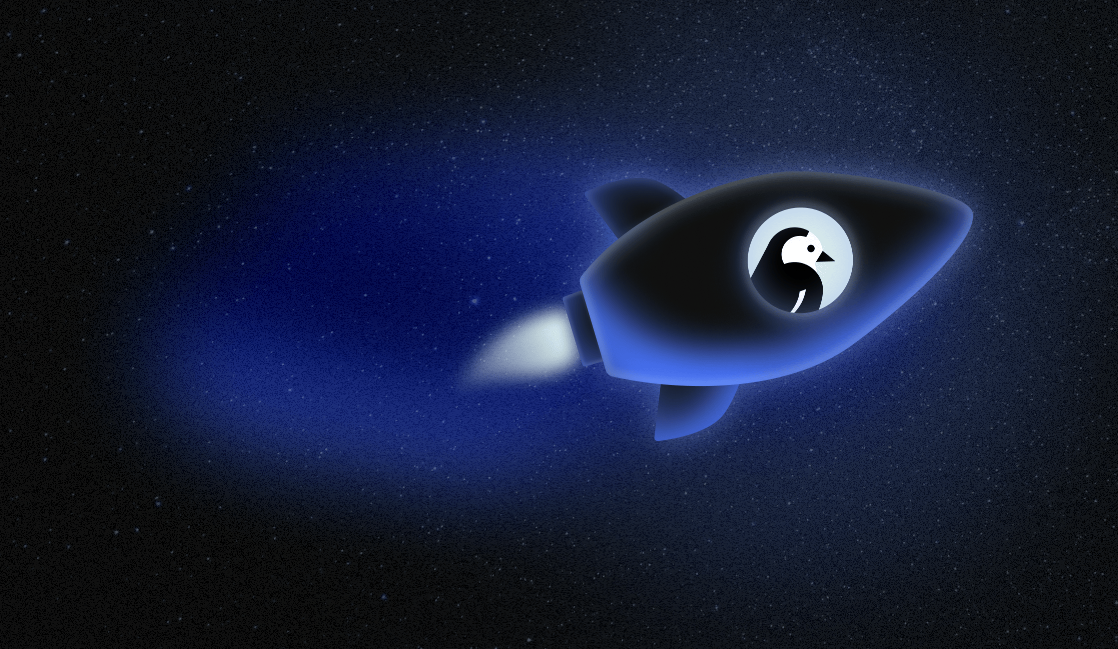 A stylish cartoon rocket goes up and to the right, with the Wagtail bird visible inside the main window. Over a blue-indigo background of the night sky