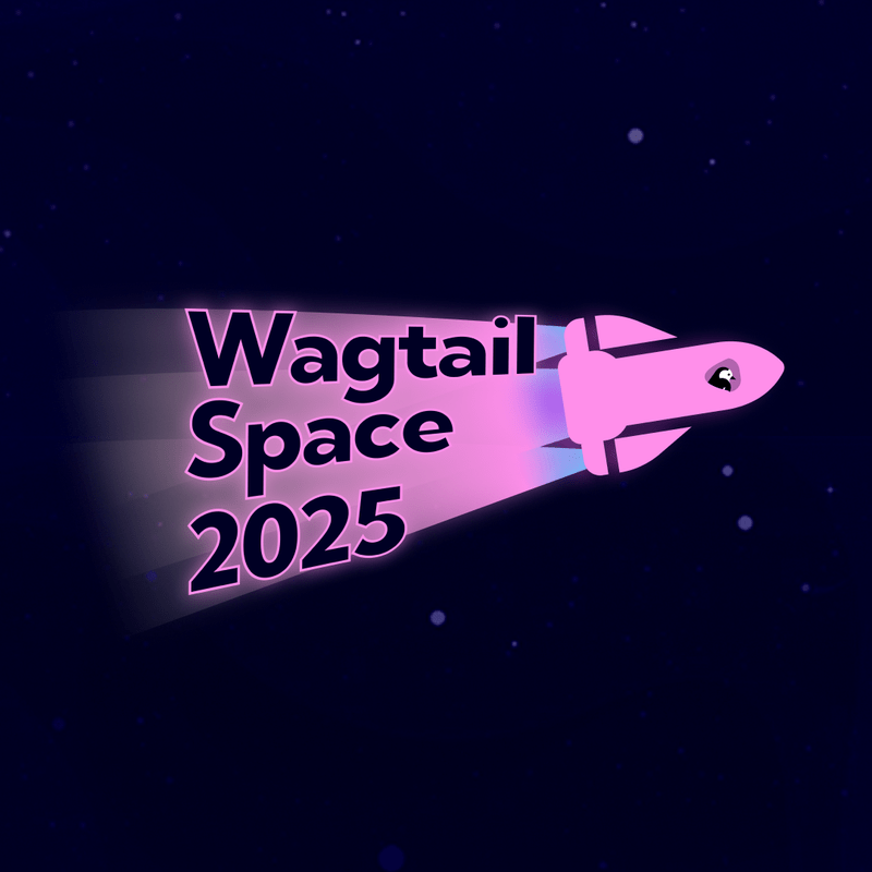 A starry background with a pink rocketship that says Wagtail Space 2025 behind it.