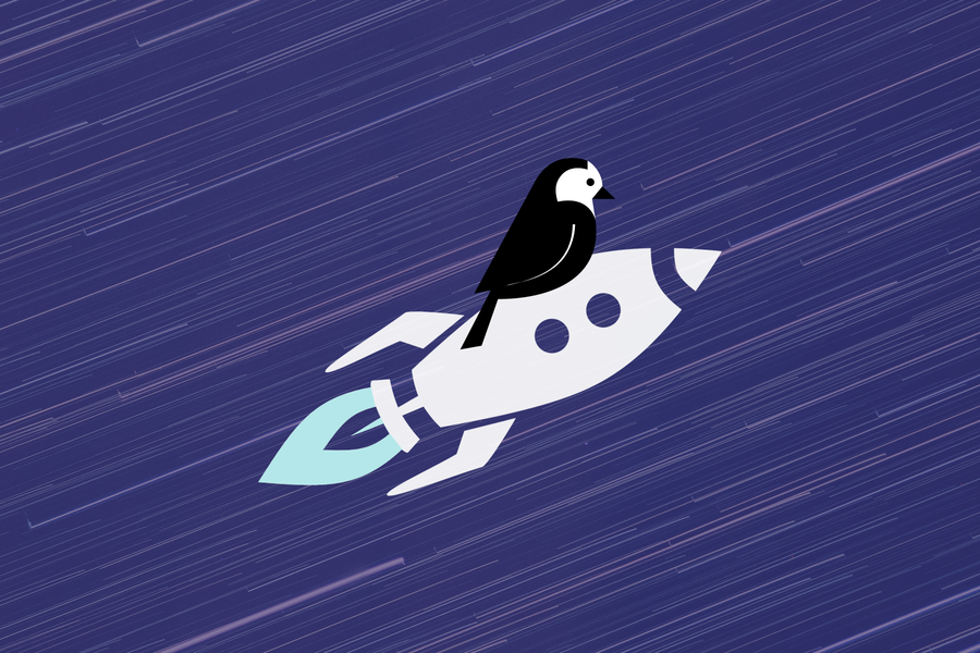 You're looking at a wagtail shooting through purple space on top of a rocket ship