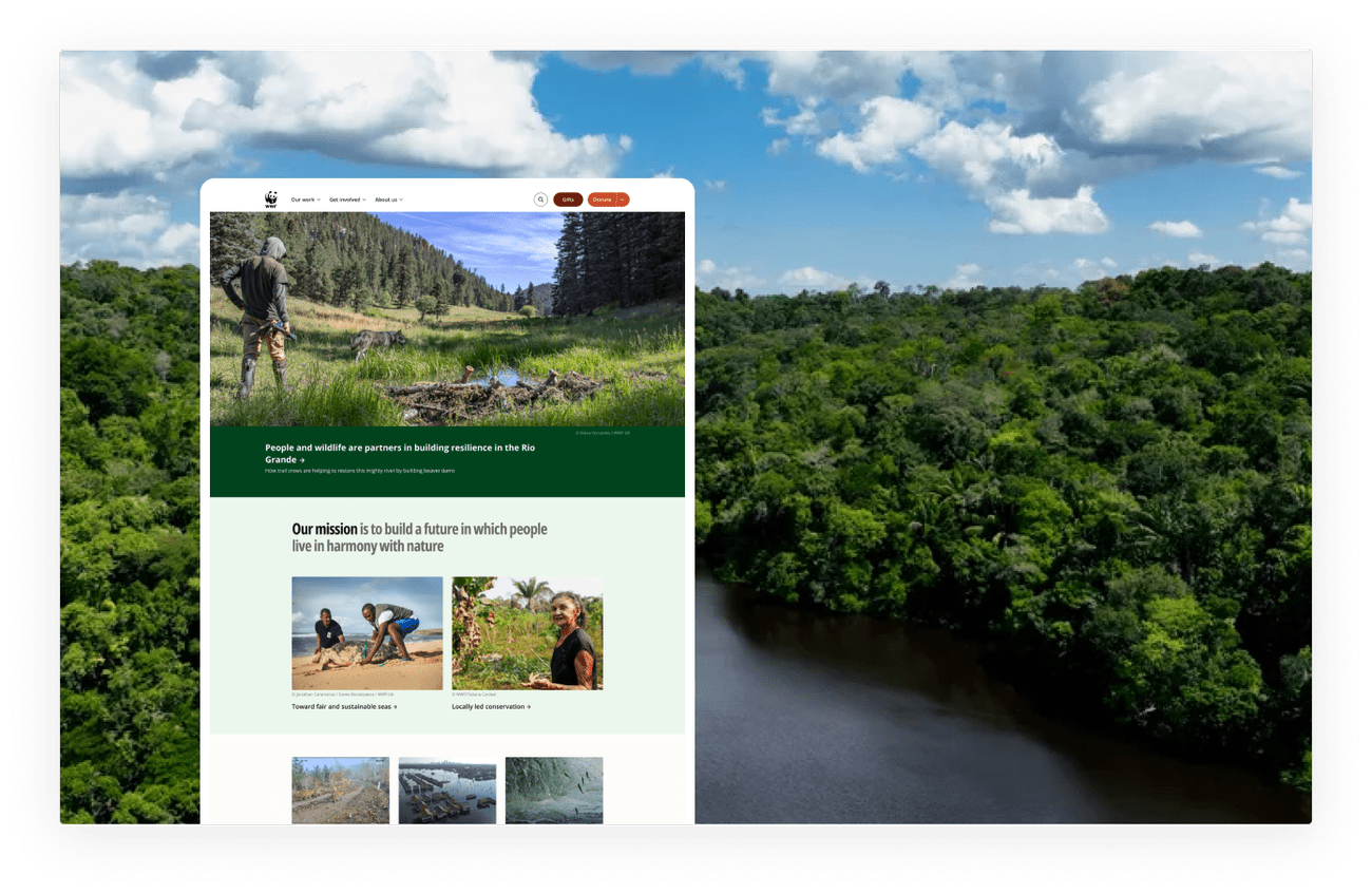 WWF website homepage showing a person in outdoor gear standing by a pond in a mountain meadow, with headline about people and wildlife building resilience in the Rio Grande